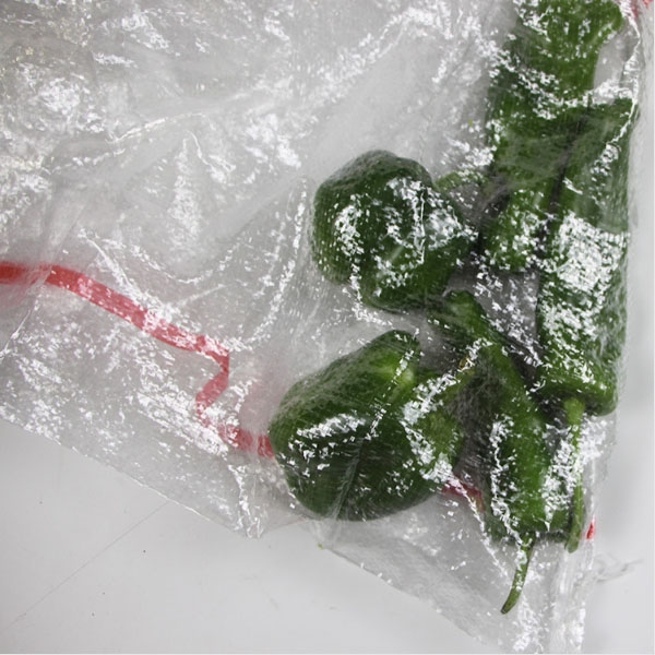 蔬菜袋-紅色