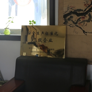 企業(yè)資質(zhì)